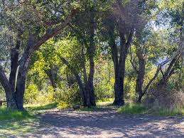 There are also 6 double sites for larger groups. Wheeler Gorge Los Padres National Forest Recreation Gov