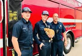 Vincent's hospital, and great schools puts you in the center of it all while still providing a. Rancho Santa Fe Fireman Shows The Heart Beneath The Heat