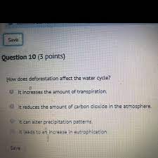 Most of us _ use computers know how to send emails or _____ to create a new folder. How Does Deforestation Affect The Carbon Cycle Brainly Com
