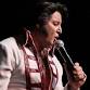 Elvis by Will:  King Of Rock -n- Roll | 7:30 PM SHOW event image