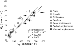 What does the guard cell do in photosynthesis. Integrating Stomatal Physiology And Morphology Evolution Of Stomatal Control And Development Of Future Crops Springerlink