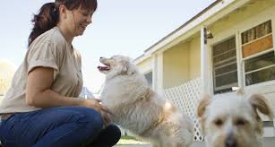 If your pet needs an expensive medical treatment or you're struggling to cover the cost of an appointment, discuss the situation with your veterinarian. Working In Animal Care The Purrfect Career Jobs Careers Magazine