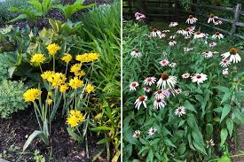 Place your order today and we guarantee 100% satisfaction. Deer Resistant Native Plants For The Northeast By Ruth Rogers Clausen And Gregory D Tepper Womanswork Com