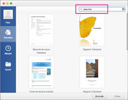 Ce modèle de cv à remplir est structuré très clairement. Utiliser Un Modele Pour Creer Un Cv Support Office