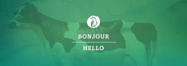 Ami insurance company is in the sectors of: Find Brio Insurance In La Broquerie Manitoba Brio Insurance