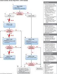 Acls has signed on to a joint statement that asserts our firm opposition to legislative efforts to restrict education about racism and american history. Part 7 Adult Advanced Cardiovascular Life Support Circulation