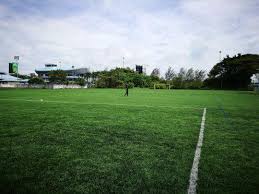 Penang island atau disingkat penang) ( pengucapan: Padang Rumput Sintetik Arena Jabatan Penang Brotherhood Facebook