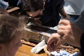 Copyright savesave braul maicii domnului for later. Am Fost La Braul Maicii Domnului In Voluntari Èi Am InÈeles La Ce E BunÄ Religia In PoliticÄ