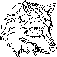 Ausmalbild weißwolf kostenlos zum ausdrucken. Wolfe Fur Kids