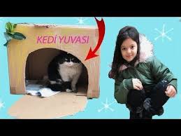 masal ve oyku sokak kedilerine yuva yapti funny kids videos cat love youtube komik kopek resimleri komik bebekler kedi