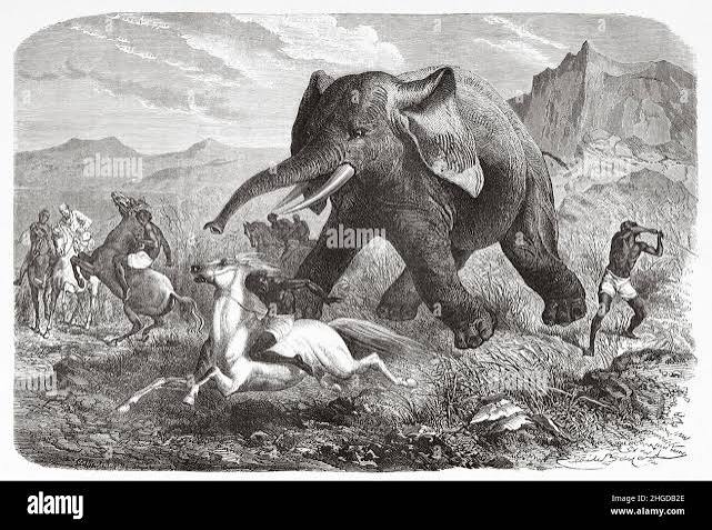 Hunting scene. Elephant hunting by sword, Abyssinia. Africa. Old 19th century engraved illustration from Exploration of the Nile tributaries of Abyssinia, 1861-1862 by Samuel Baker, Le Tour du Monde 1870 Stock Photo - Alamy