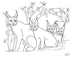 The cat is chasing the small mice on the farm so that it does not destroy the crops. Mom And Kitten Coloring Pages Novocom Top