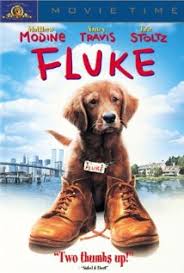 Kutyabajnok 2002 teljes film magyarul. Kutyavilag 1995 Teljes Film Magyarul Online Mozicsillag