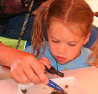 UNIVERSITY OF ALASKA museum of the north FY08 annual report • 7.2007–6.2008