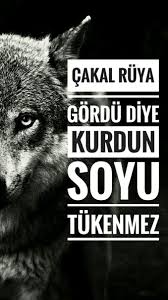 Tc Wallpaper S Adli Kullanicinin Turk Wallpaper Panosundaki Pin