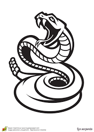 After destroying a player's vessel, they attack the player. Page 20 Sur 24 Sur Hugolescargot Com Coloriage Serpent Dessin Serpent Coloriage