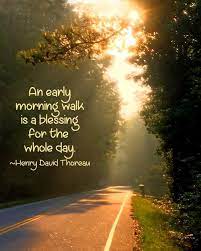 Pin On Nature Quotes