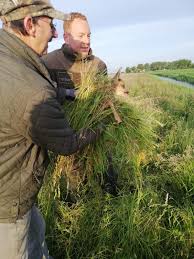 Reekalfjes gered d.m.v. Drones *foto's*