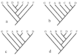 Maybe you would like to learn more about one of these? Https Www Ebi Ac Uk Sites Ebi Ac Uk Files Content Ebi Ac Uk Materials 2014 140602 Prague Tree Thinking Tests Pdf