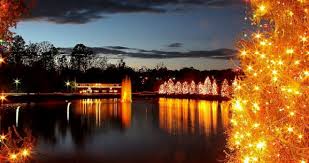 Christmas Town Usa Mcadenville Nc Mcadenville A Small Town About 20 Minutes Outside Of Charlot Christmas Town Holiday Lights Display Christmas Experiences