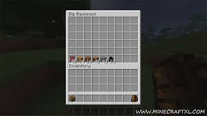 Simply put your backpack inside a quantum chest and it will start dispensing quantum backpacks. Backpack Mod Download For Minecraft 1 6 2 Minecraftxl