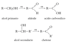 Presentazione di PowerPoint