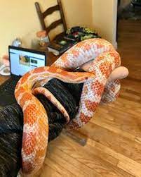 Jessica Mocuta Jessicamocuta_ - Profile Pinterest