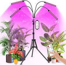 We did not find results for: Amazon Com Grow Lights For Indoor Plants Plants Light With 100w Smart 192 Leds Red Blue Spectrum With 4 8 12 Hours Timer Plant Grow Lights Indoor For Seedling Auto On Off Adjustable Stand Gooseneck