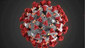 Koronavirüs mutasyona mı uğradı sorusu gündeme oturdu. B117 Virusu Nedir B117 Virusu Belirtileri Ve Ozellikleri Nelerdir Ingiltere Den Korona Virus Mutasyonu Uyarisi Saglik Haberleri Ntv