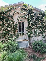 Touring Patina Farm Patina Farm Farm Landscaping Rose Garden Design
