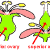 Maybe you would like to learn more about one of these? 3