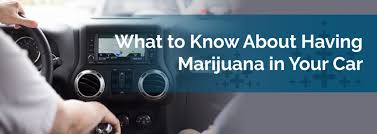 Here's what to do with them. What To Know About Having Marijuana In Your Car Marijuana Doctors