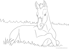 Ausmalbild Pferd 16 Ausmalbilder Pferde Ausmalbilder Pferde Zum Ausdrucken Ausmalbild