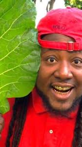 Fort Pierce man goes viral, captures internet with his unusual garden