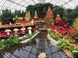 Conservatory of flowers light show 2020. Flower And Light Show At Phipps In Pittsburgh Robin O Neal Smith