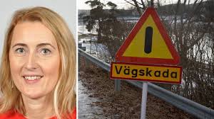 Statens expert om rasrisken vid Dalälven: ”Behövs åtgärder”