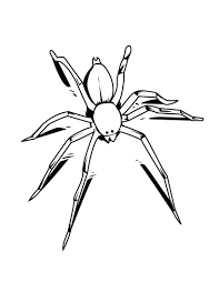 Spider web coloring telematik institut org. Free Printable Spider Coloring Pages For Kids