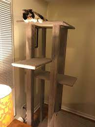 Pin On Cat House