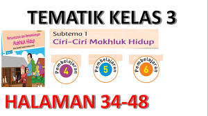 Kunci jawaban buku tematik tema 3 kelas 5 ini ditujukan kepada orang tua atau wali sebagai pedoman dalam mengoreksi hasil belajar anak. Kunci Jawaban Tematik Kelas 3 Tema 1 Subtema 1 Pembelajaran 4 6 Halaman 34 48 Youtube