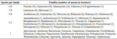 Image result for Ficus scassellatii