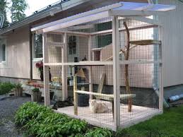 Incat Forum Tulosta Sivu Katzen Hunde Haus