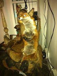 Badly Stuffed Foxes Bad Taxidermy Painting Furry Friend