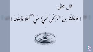 و جعلنا من الماء كل شيء حي أفلا يؤمنون بصوت ياسر الدوسري Youtube