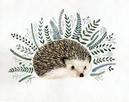 Yelena Bryksenkova Rodya The Hedgehog Hedgehog Illustration Hedgehog Art Hedgehog Drawing