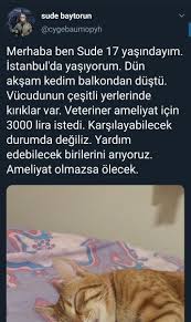 Filiz Basak Inanc Basakinanc Twitter