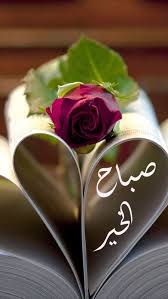 Посмотрите твиты по теме «#صباحي_انتي» в твиттере. 250 ØµØ¨Ø§Ø­Ø§Øª Ùˆ Ù…Ø³Ø§Ø¡Ø§Øª Ø§Ù„ÙˆØ±ÙˆØ¯ Ideas Good Morning Arabic Good Morning Images Flowers Good Evening Greetings
