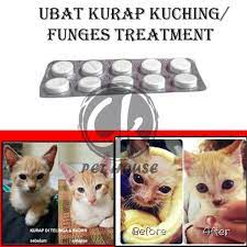 Удаление черной плесени на балконе: Antifungal Skin Disease Tablet Ubat Kurap Fungus Kucing Anjing 10 Tablet Lazada