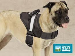 This Practical Guardian Gear Excursion Pet Harness Has An Easy Grab Handle To Help Control Excited Pets A Reflec Dog Walking Services Dog Harness Pet Harness