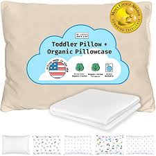 Toddler Pillow With Pillowcase Toddler Pillows For Sleeping Made In Usa Organic Shell And Pillowcase Travel Pillow For Kids Baby Pillow 13x18 Washable Daycare Nap Mat Crib White Pricepulse
