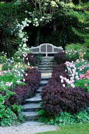Lamb Blonde My Dream Garden In 2020 Dream Garden Beautiful Gardens Garden Features